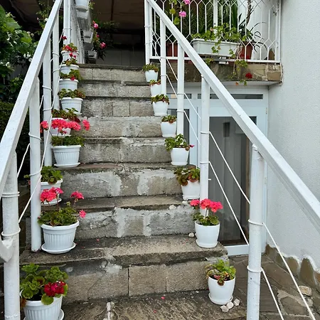 Maka - Balchik, Albena Village Zone * バルチク